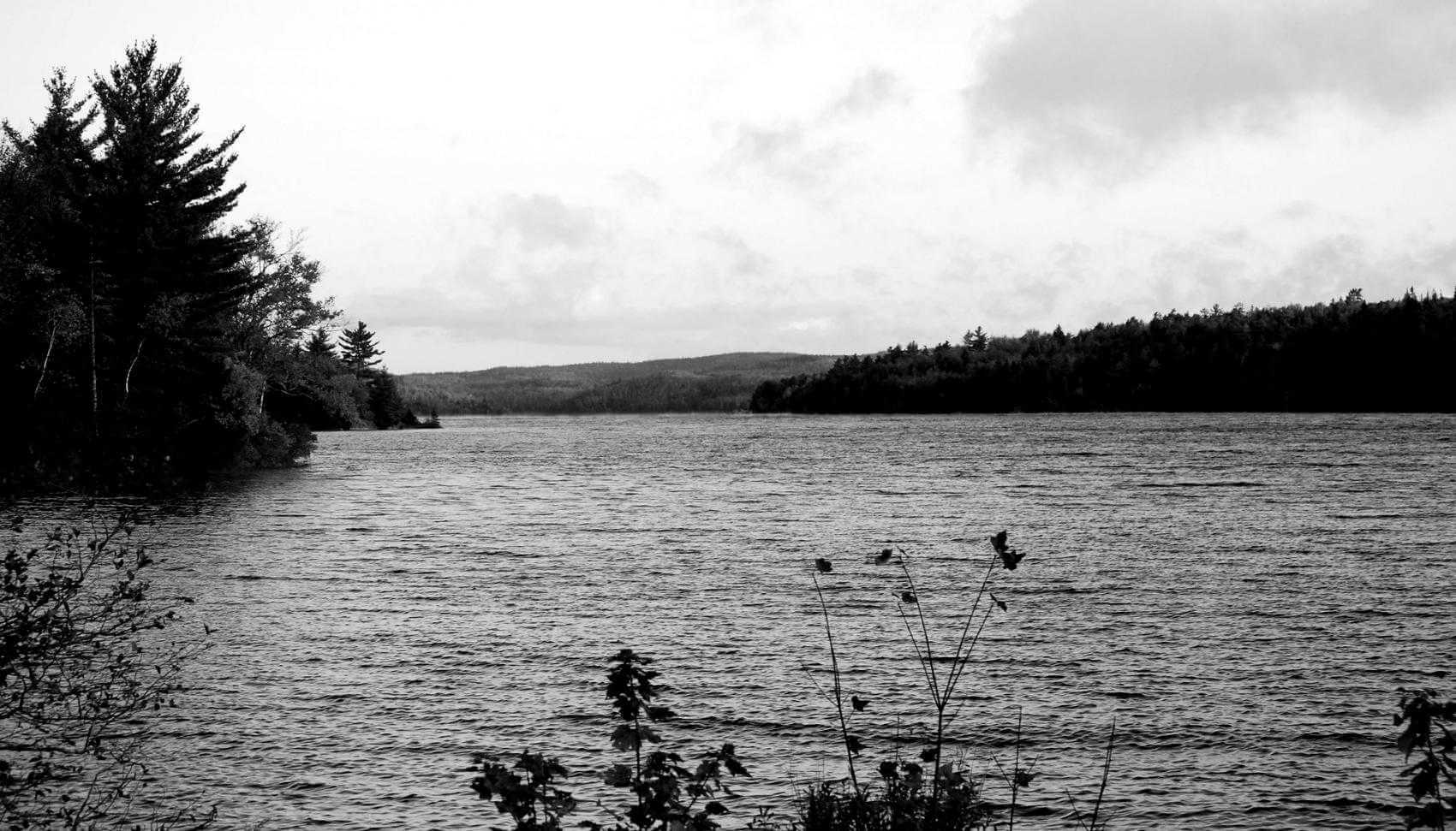 Lake Major view of the water