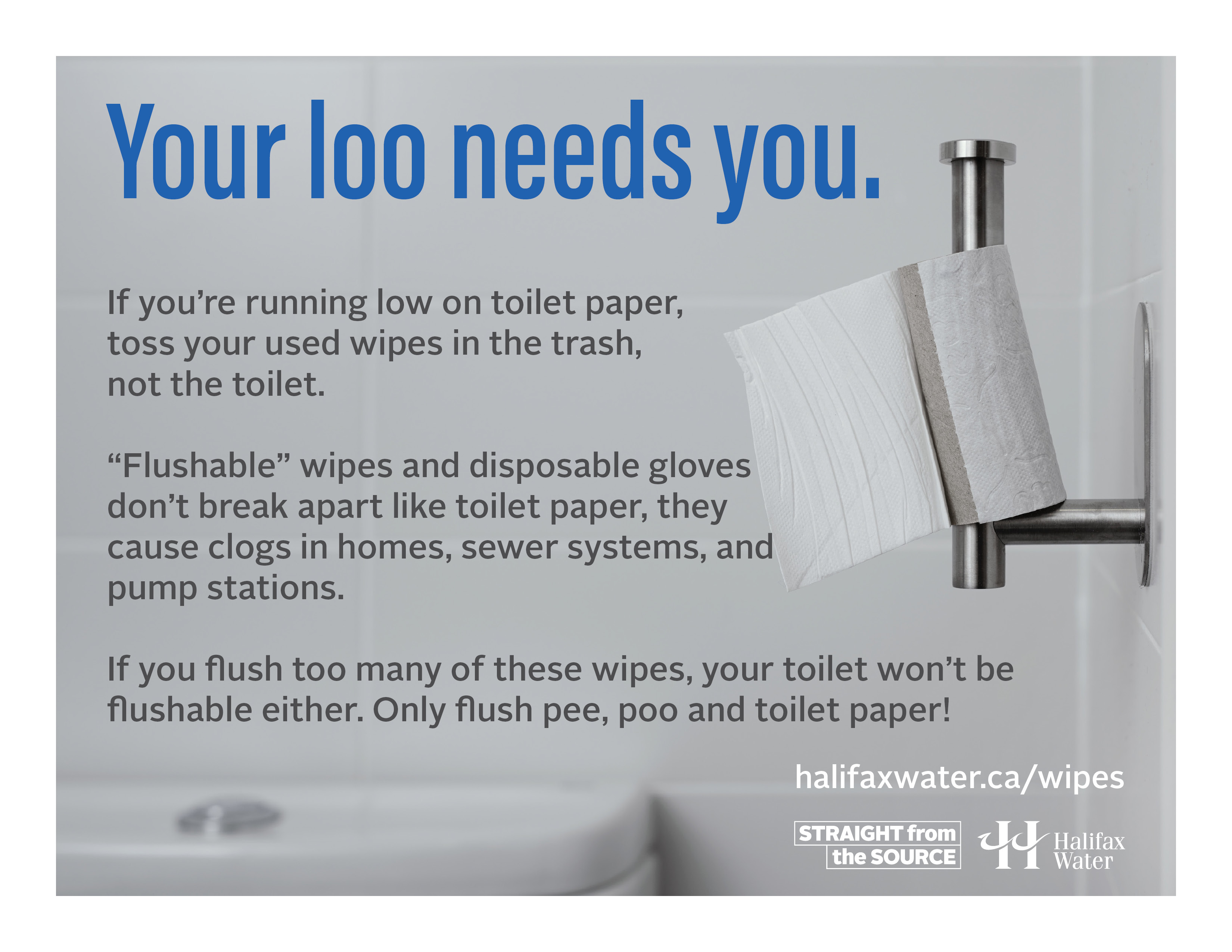 Don't Flush Wipes or Gloves - Posters - 8.5in x 11in - 1