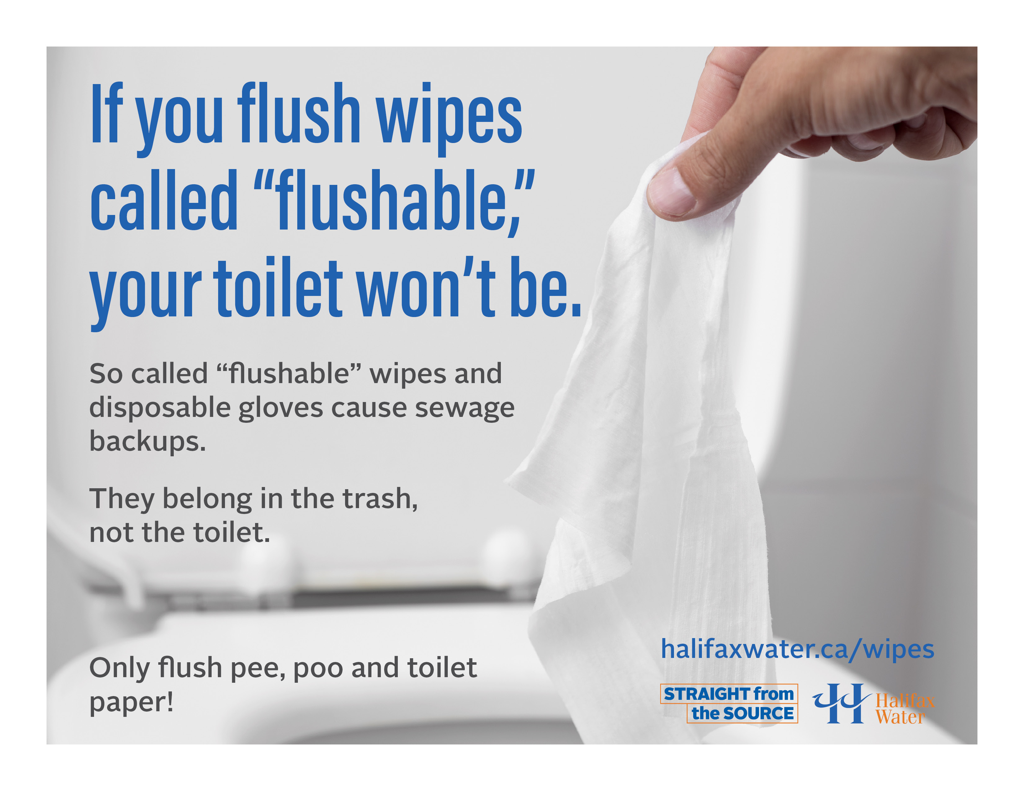 Don't Flush Wipes or Gloves - Posters - 8.5in x 11in - 2