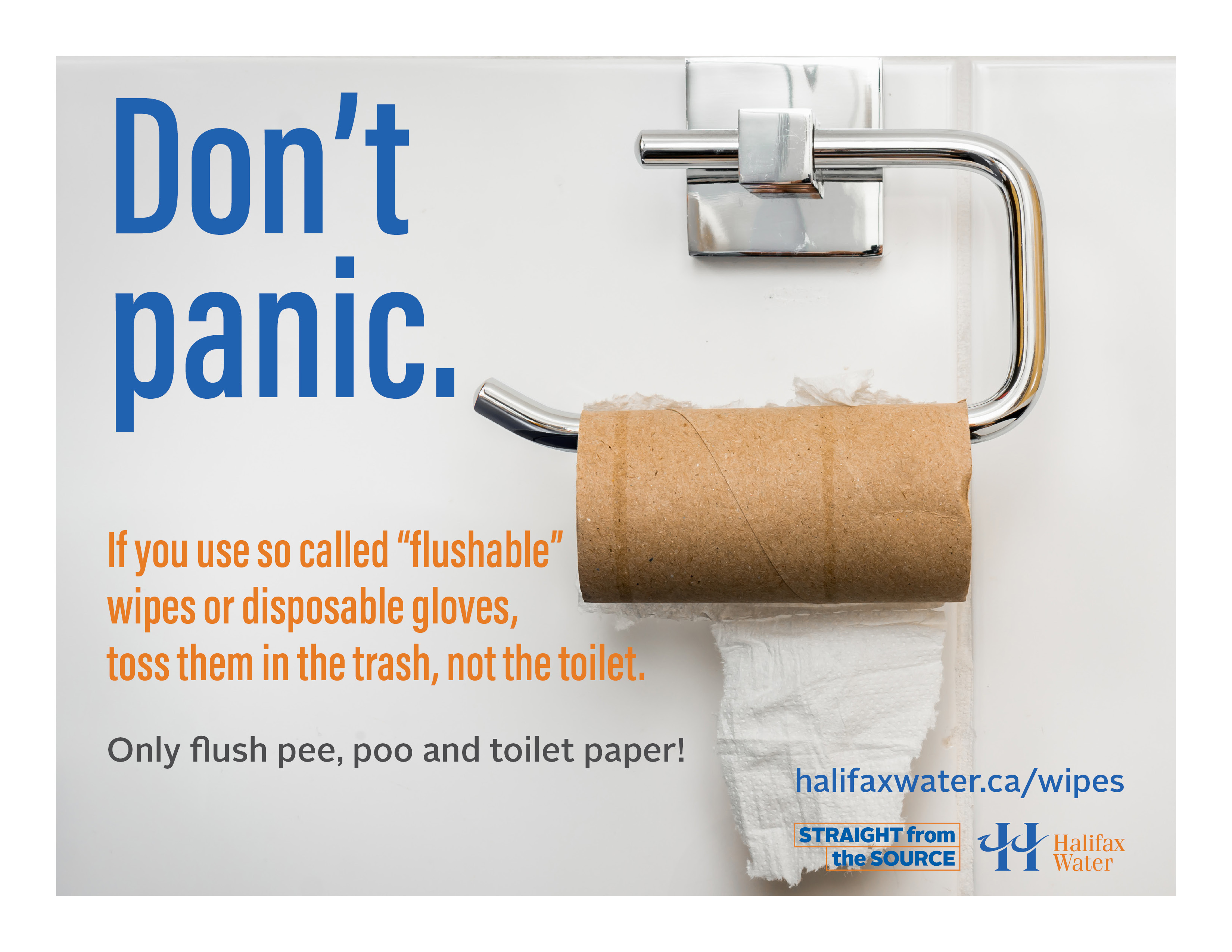 Don't Flush Wipes or Gloves - Posters - 8.5in x 11in - 5