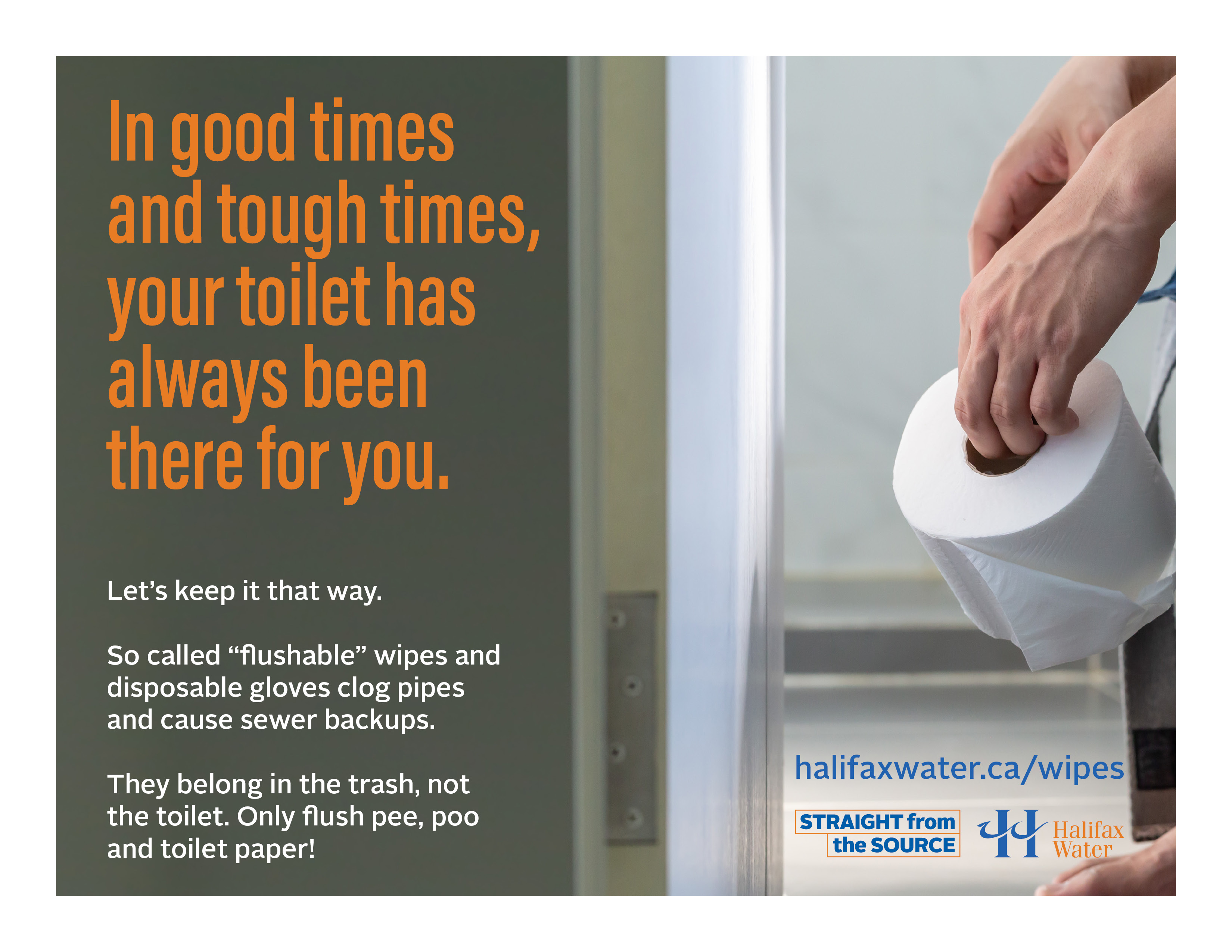 Don't Flush Wipes or Gloves - Posters - 8.5in x 11in - 6