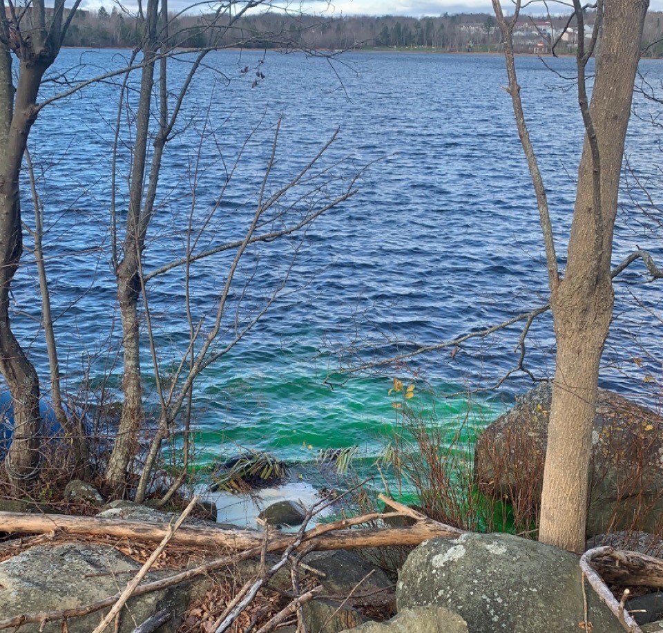 Dye in a lake