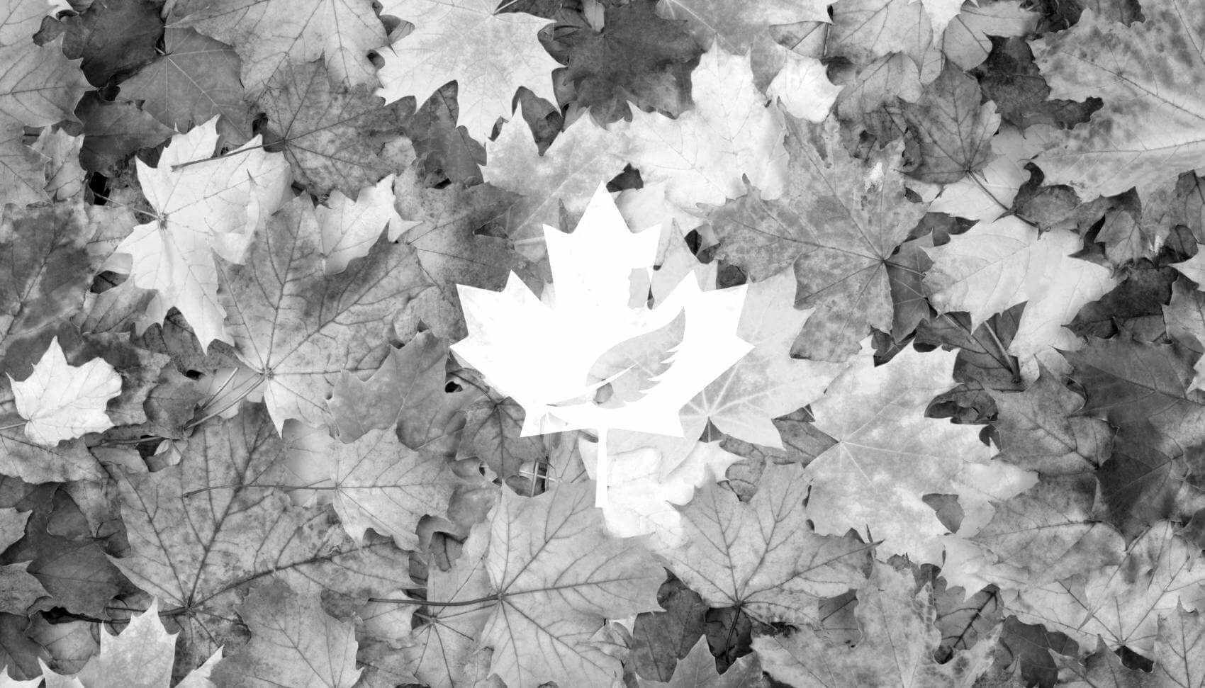 Banner Image - National Day of Truth &amp; Reconciliation 2