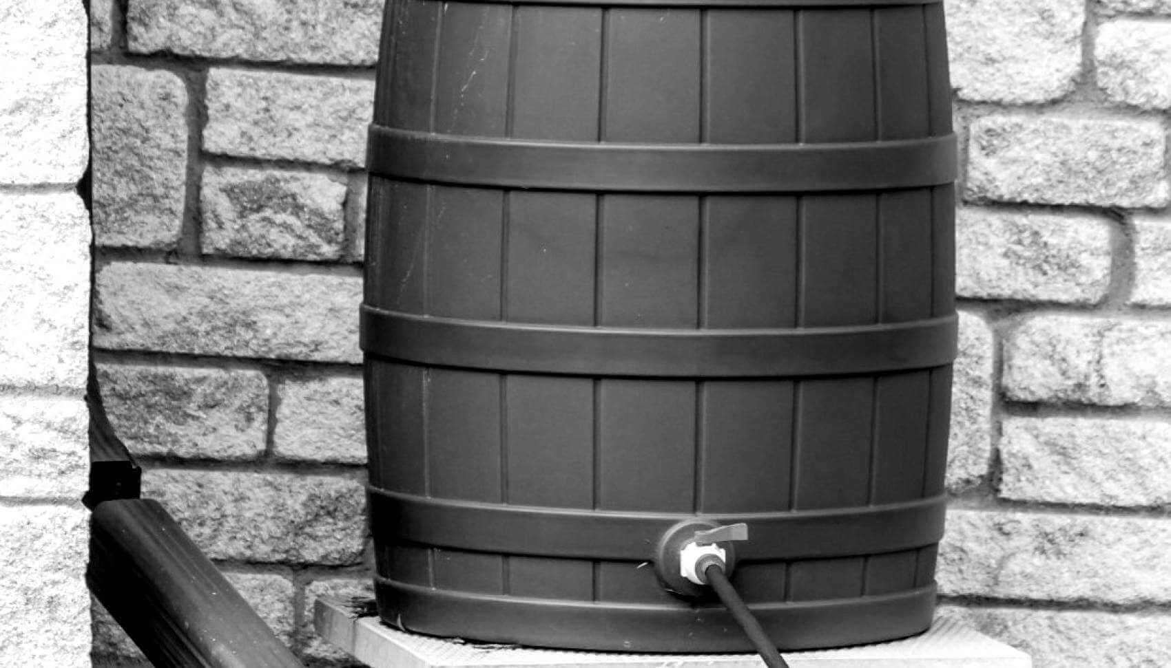 Rain barrel