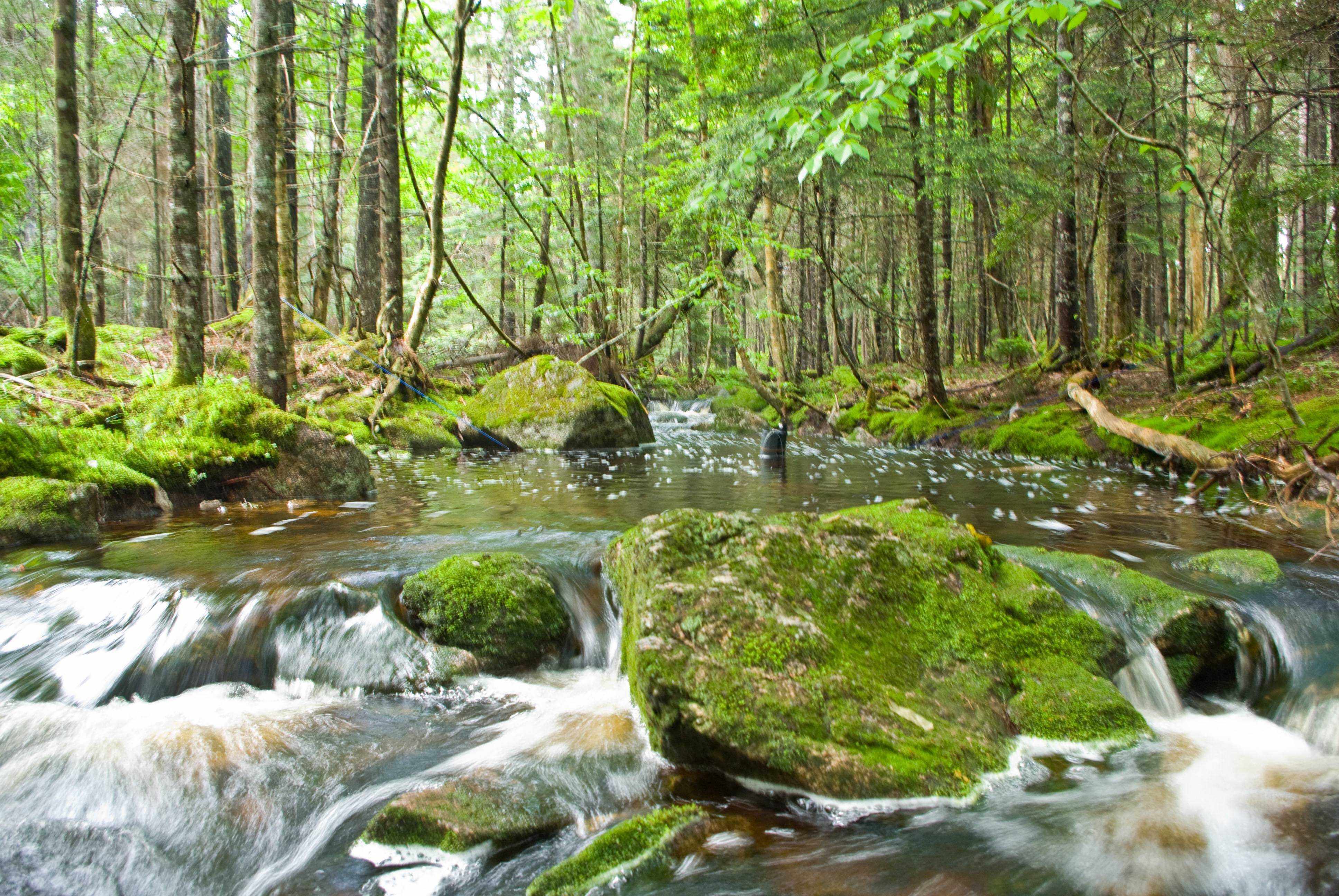 Source Water Protection Halifax Water