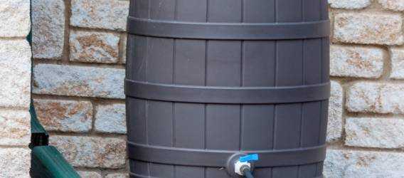 Rain barrel